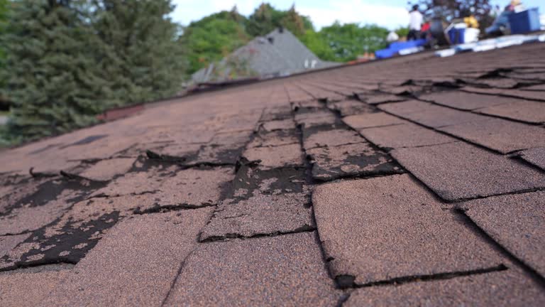 Best Roof Maintenance and Cleaning  in Lincoln, ID